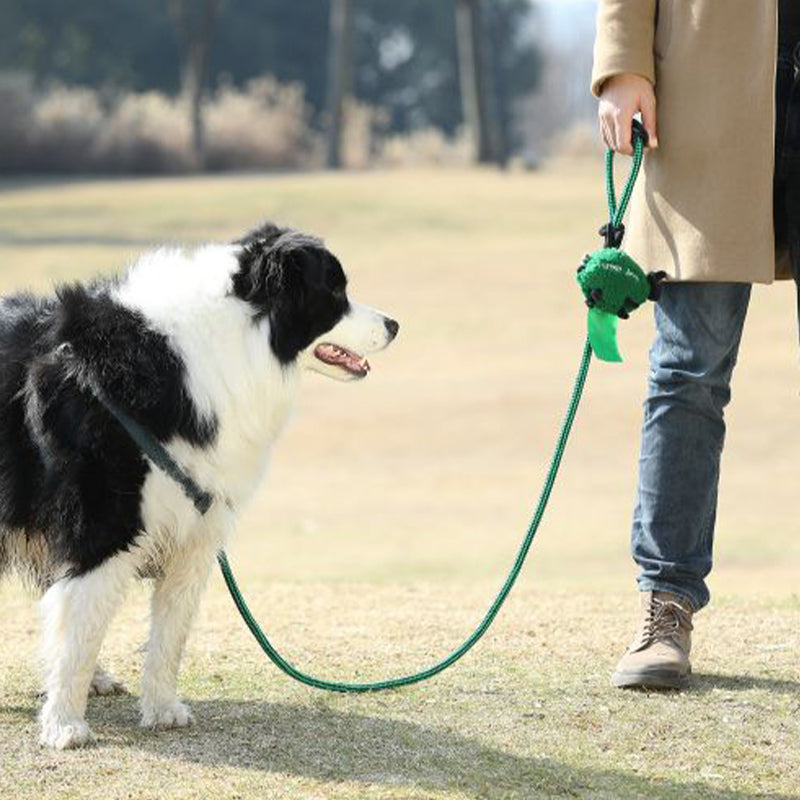 Baa Baa Black Sheep! Poop Bag Dispenser