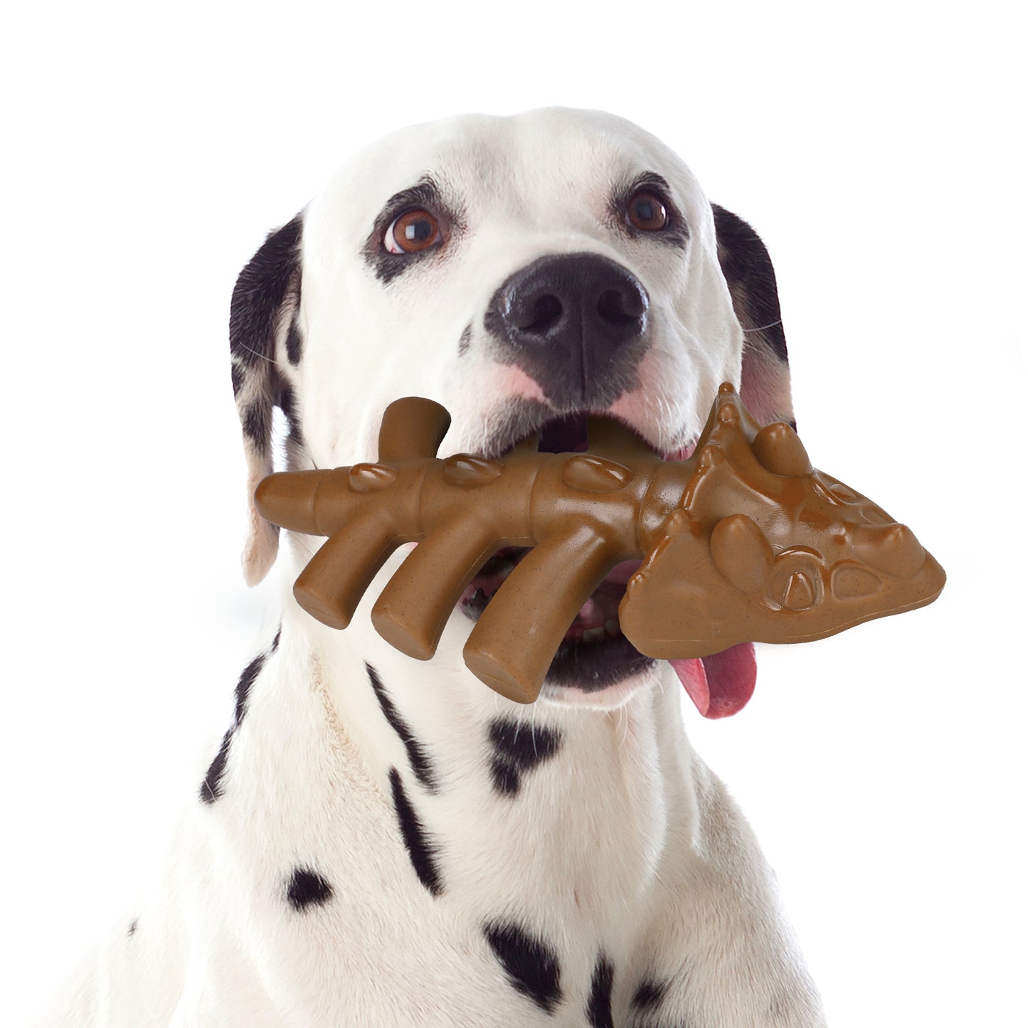 Dinosaur Nylon Bone - Heavy Chew