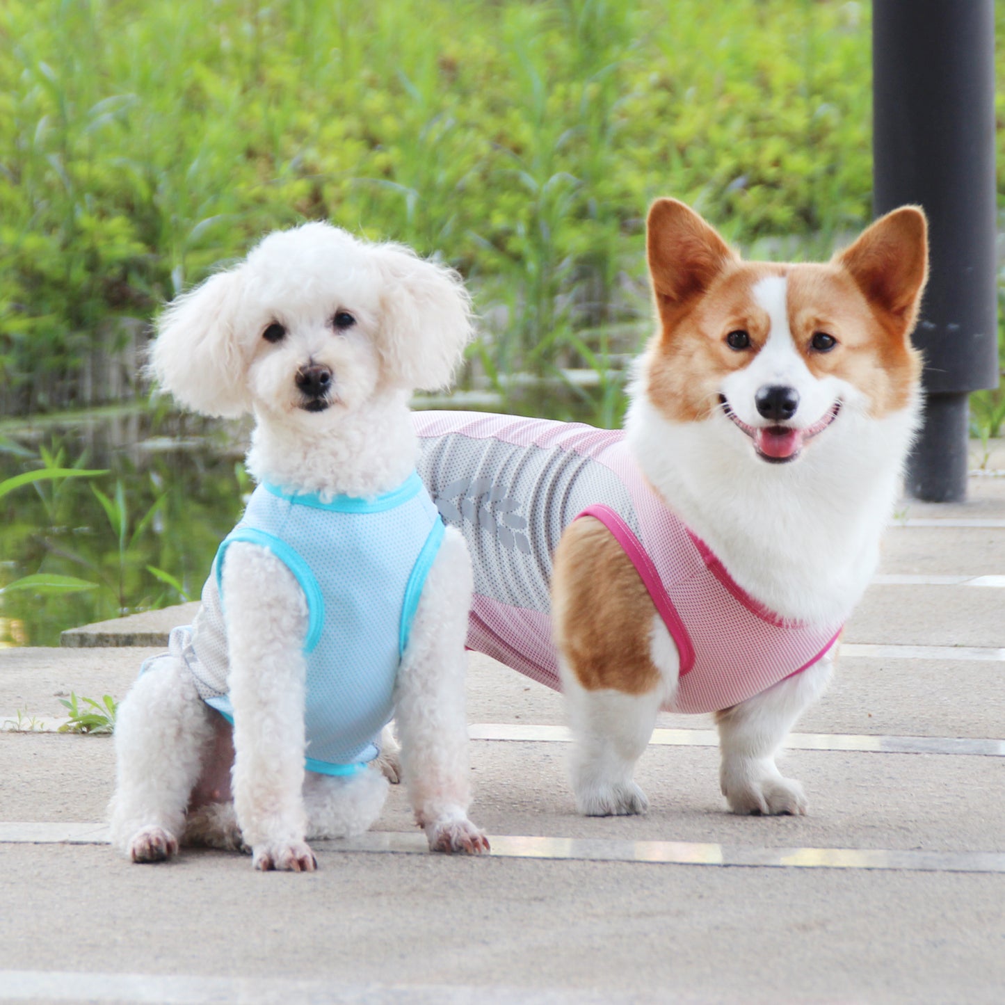 Coolios – Cooling Vests for Dogs - Pink