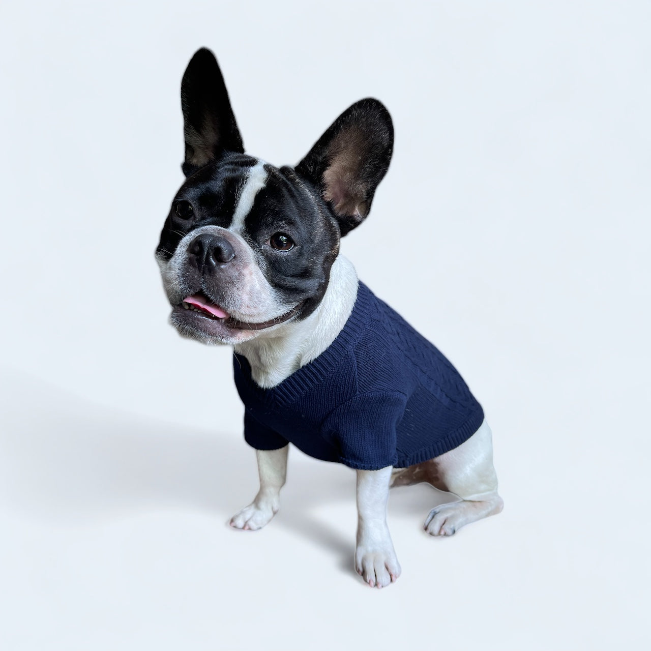 Doggy Jumper - Blue