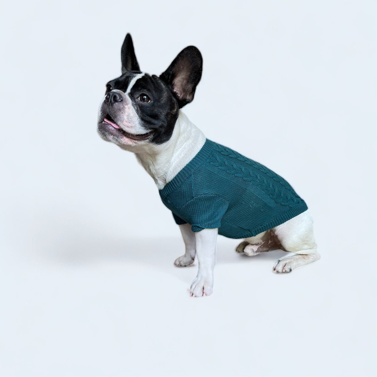 Doggy Jumper - Green