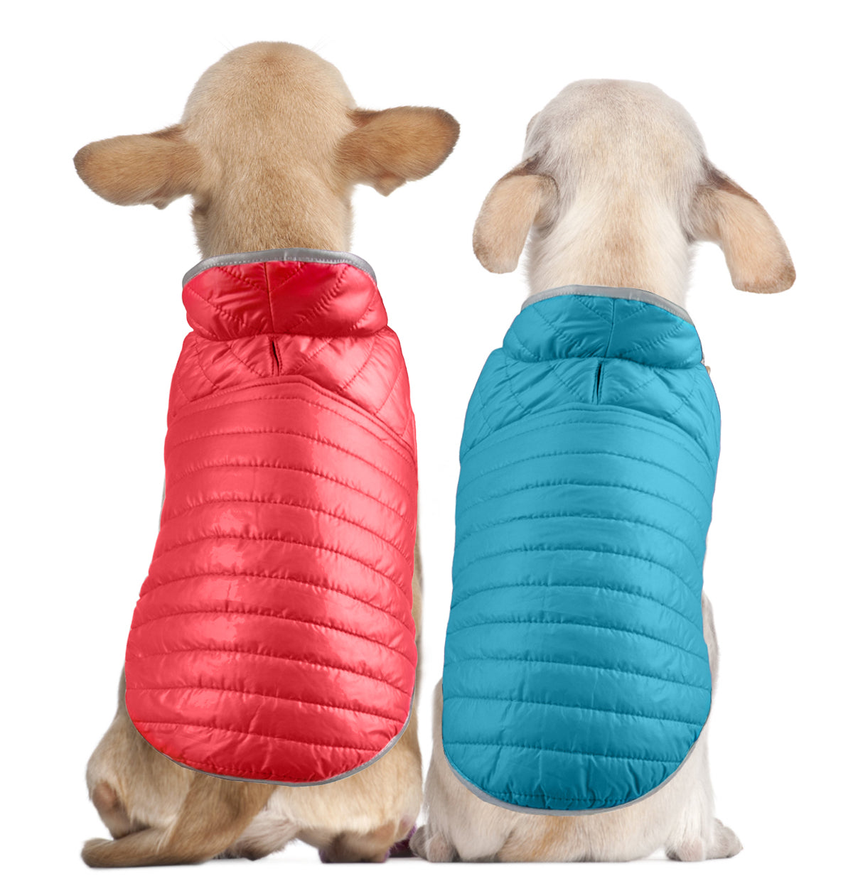 Double Trouble Reversibles - Red/Blue Jacket