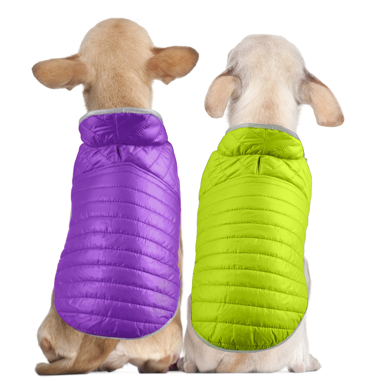 Double Trouble Reversibles - Purple/ Neon Green Jacket