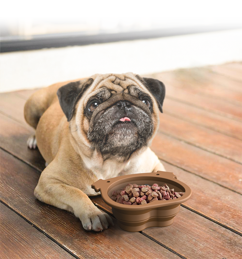 Travel Bowls - Foldable travel bowl for dogs