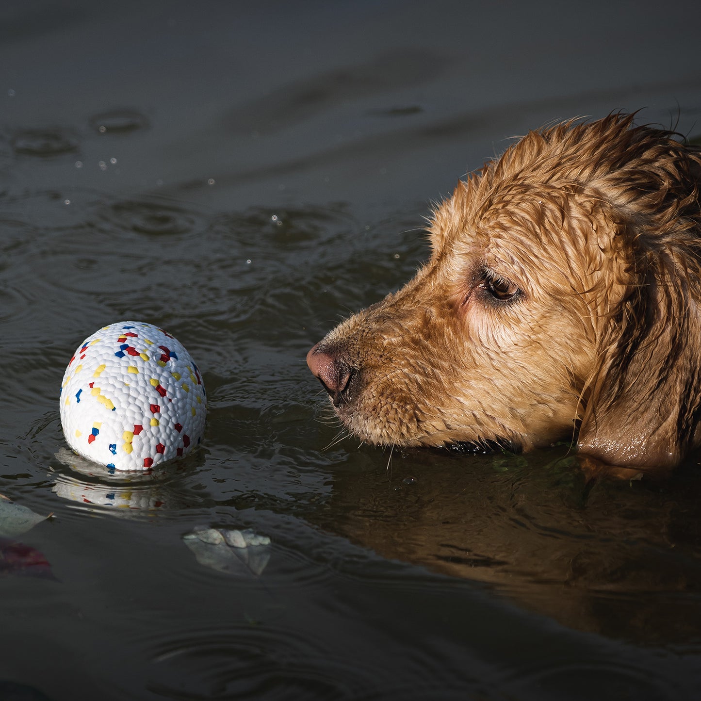 Bloom Ball Toy