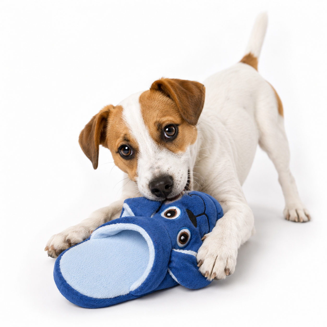 Doggie Dog Slipper - Plush Toy for Dogs