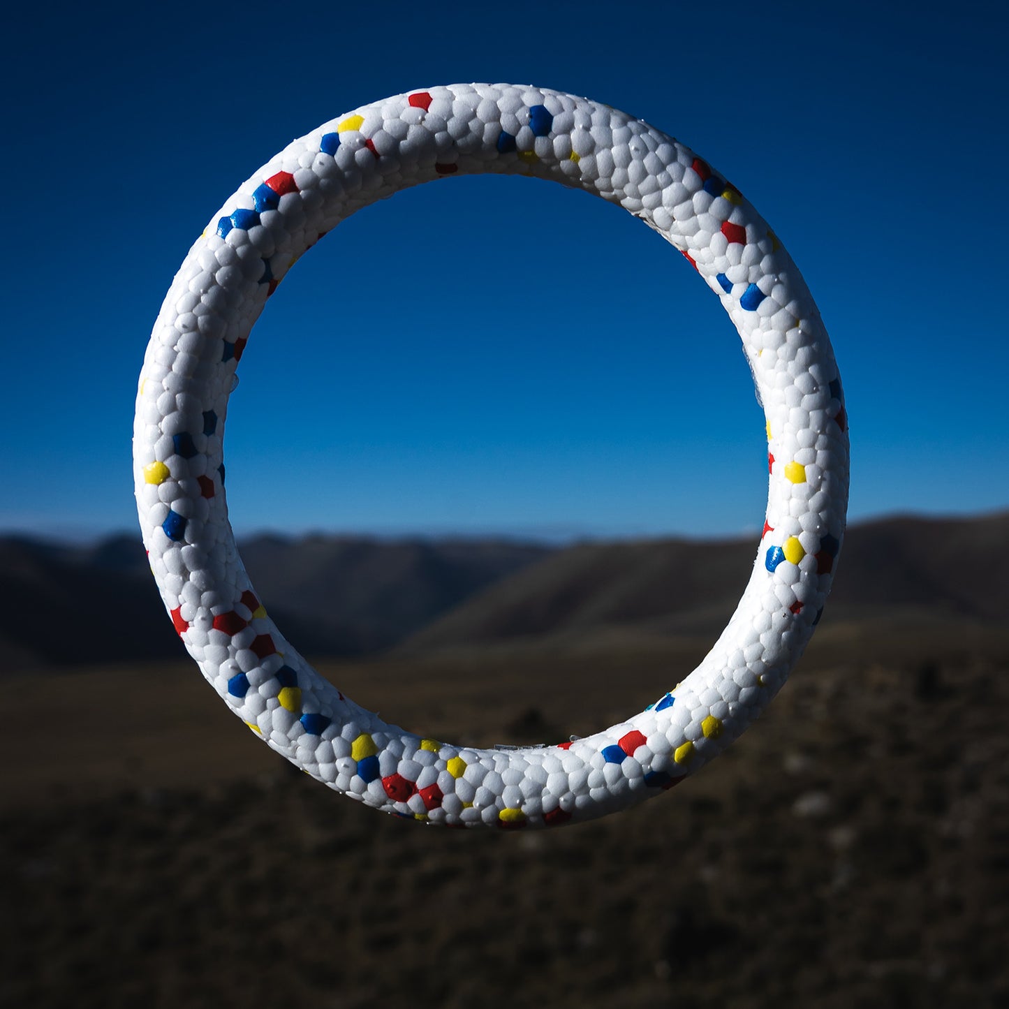 Bloom Ring Toy