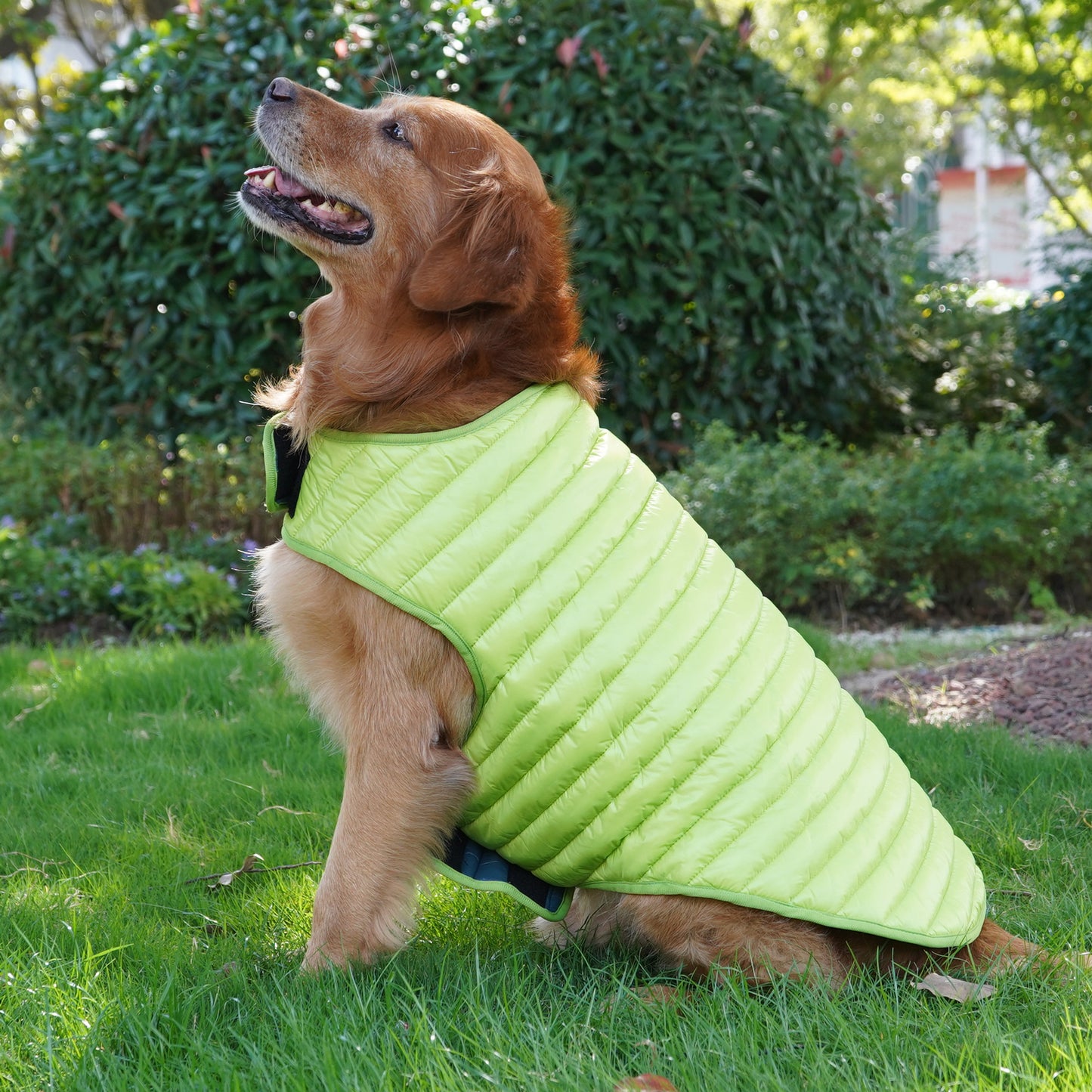 Double Trouble Reversibles - Green/ Blue Jacket - For Large Dogs
