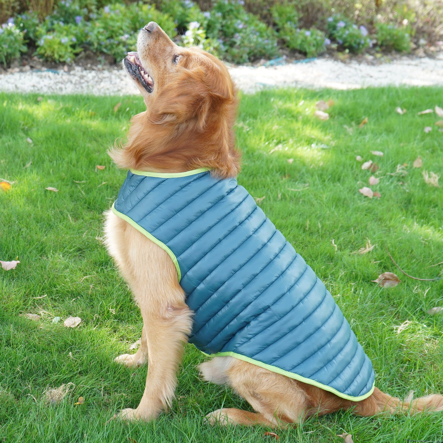 Double Trouble Reversibles - Green/ Blue Jacket - For Large Dogs