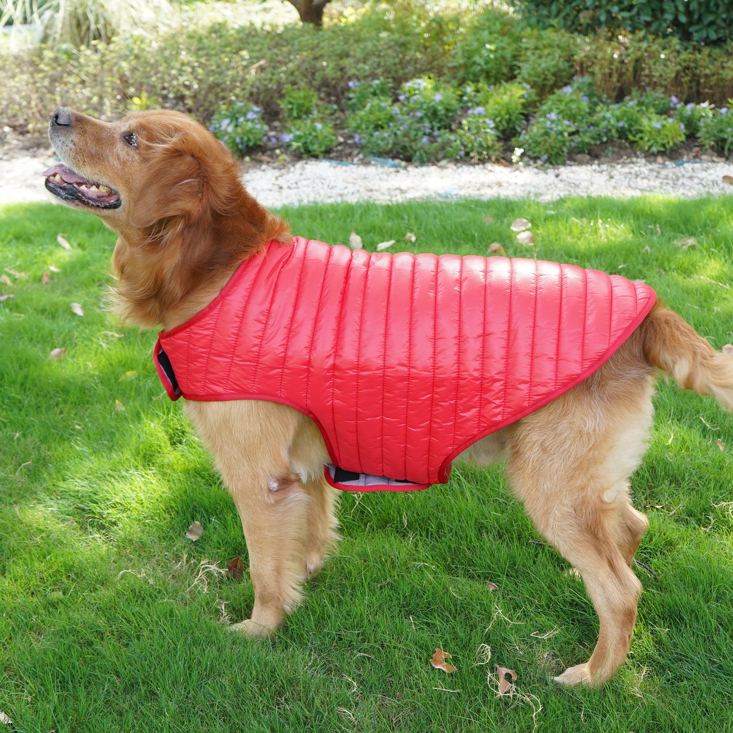 Double Trouble Reversibles - Silver/ Red Jacket - For Large dogs