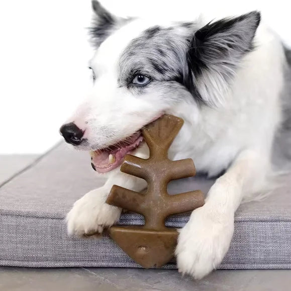 Fish Nylon Bone - Heavy Chew