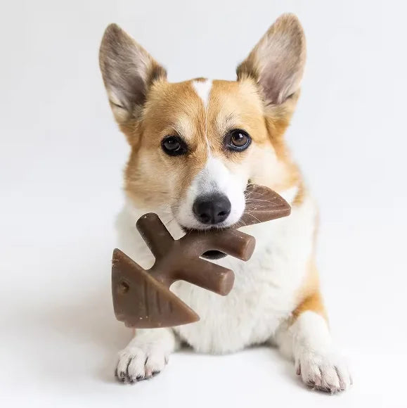 Fish Nylon Bone - Heavy Chew