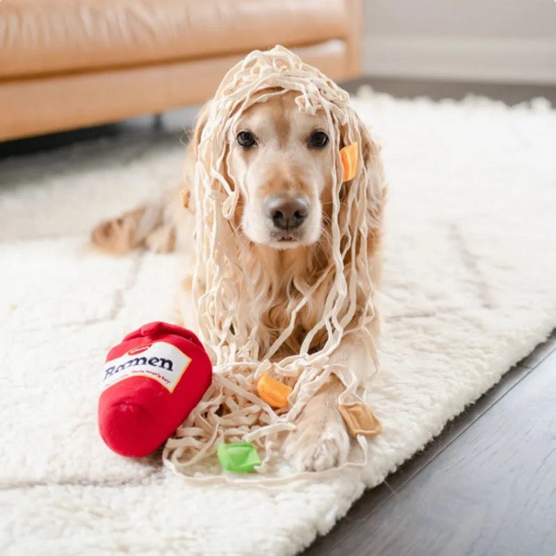 Ramen Noodles - Interactive Plush Toy