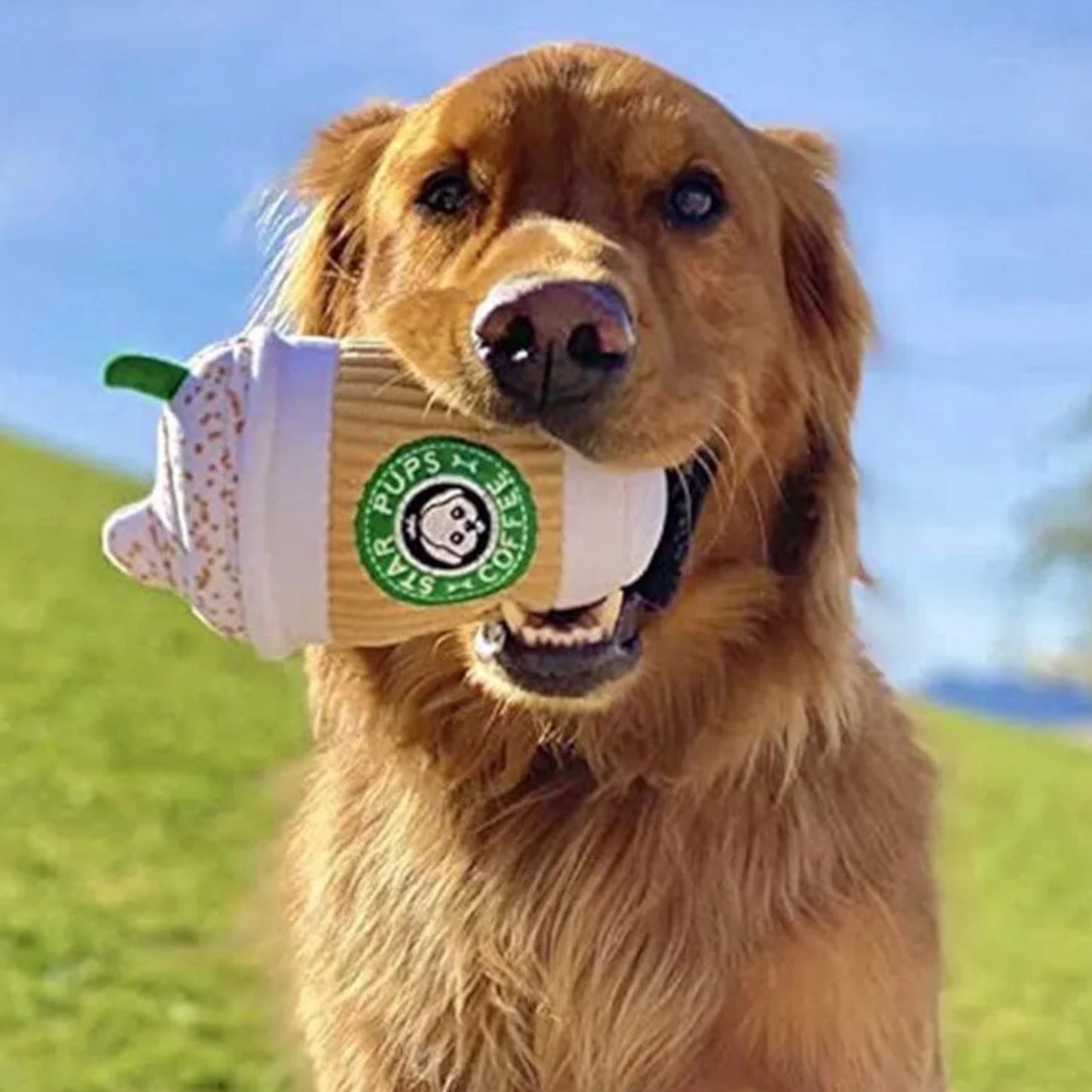 Pup Cup - Plush Toy