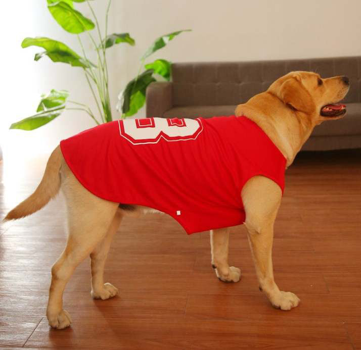 Player – Ltd. Edition Sports Tees for Dogs - Red