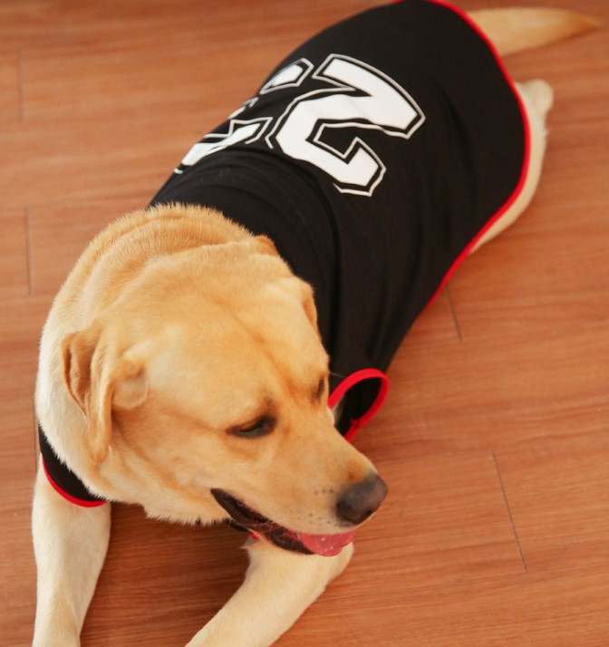 Player – Ltd. Edition Sports Tees for Dogs - Black