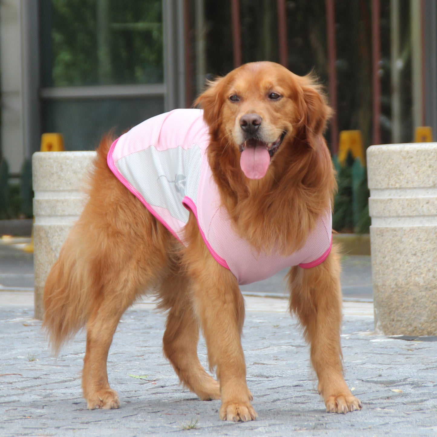 Coolios – Cooling Vests for Dogs - Pink