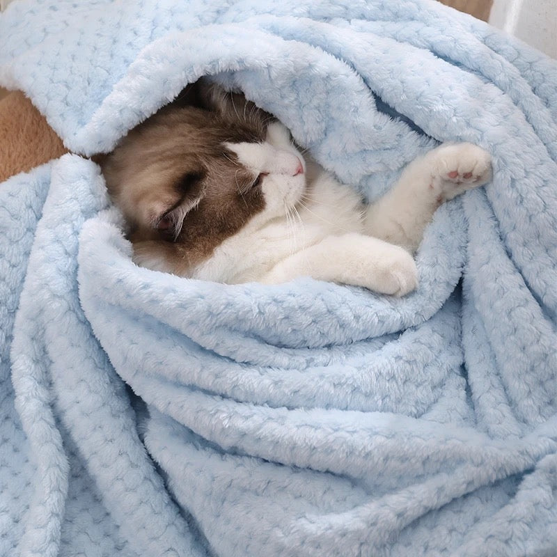 Blankies - Warm Blankets for Dogs - Blue