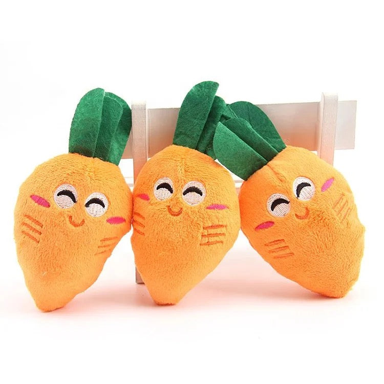 Cushy Carrot Toy