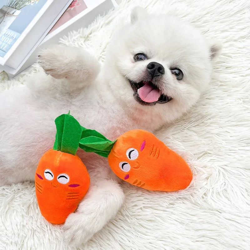 Cushy Carrot Toy