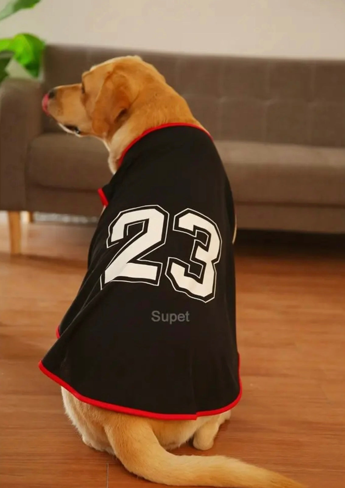 Player – Ltd. Edition Sports Tees for Dogs - Black