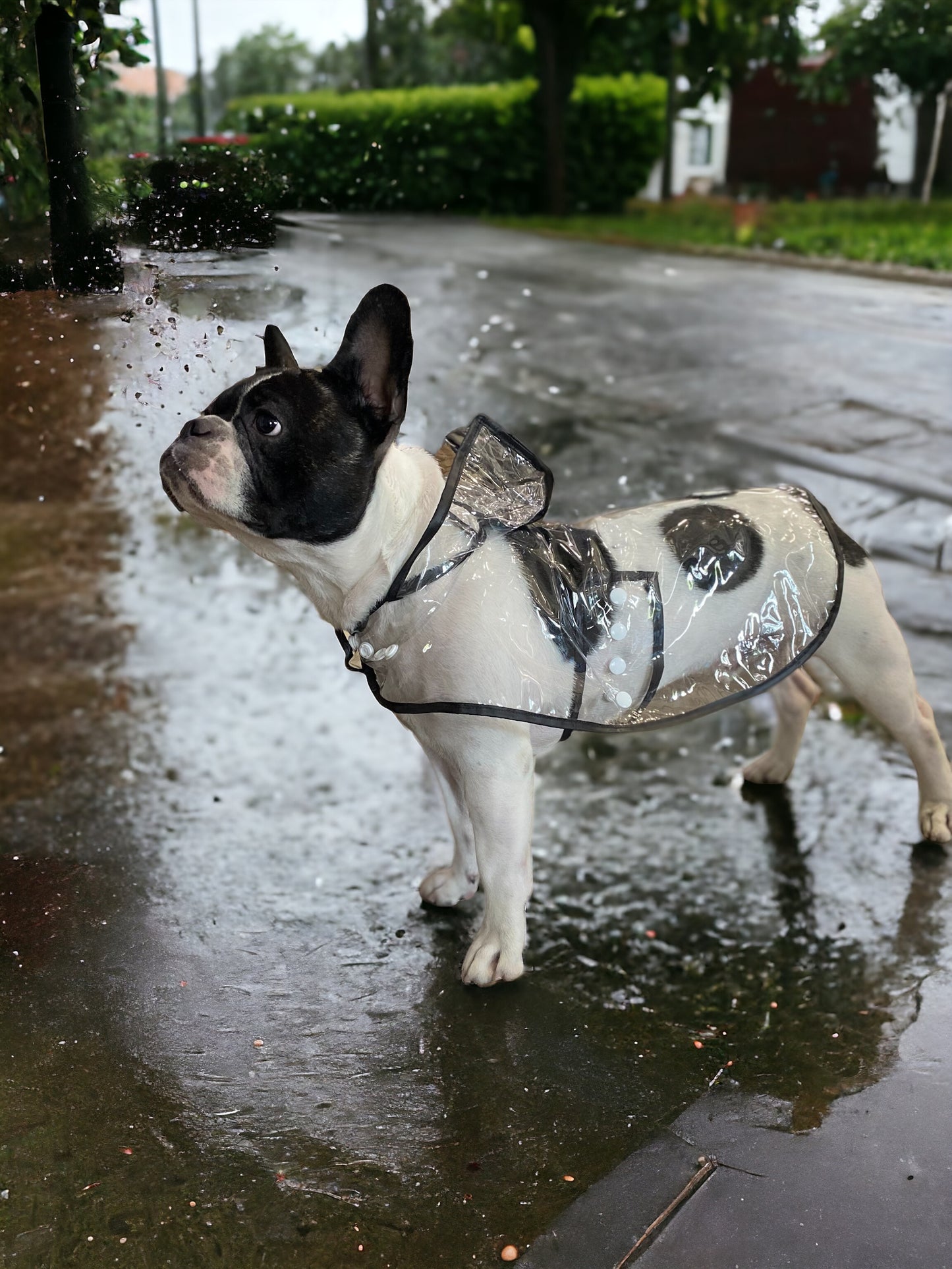 Raincoat - Black