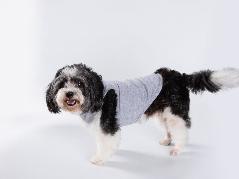 Tanky's – Tank Tops for Dogs - Grey