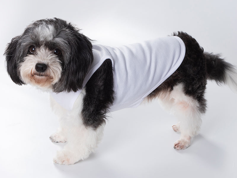 Tanky's – Tank Tops for Dogs - White