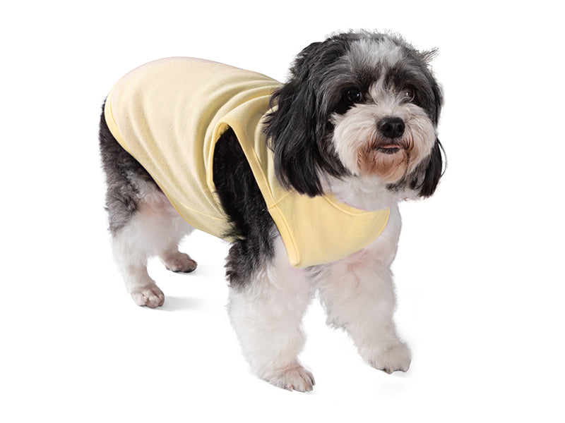 Tanky's – Tank Tops for Dogs - Yellow