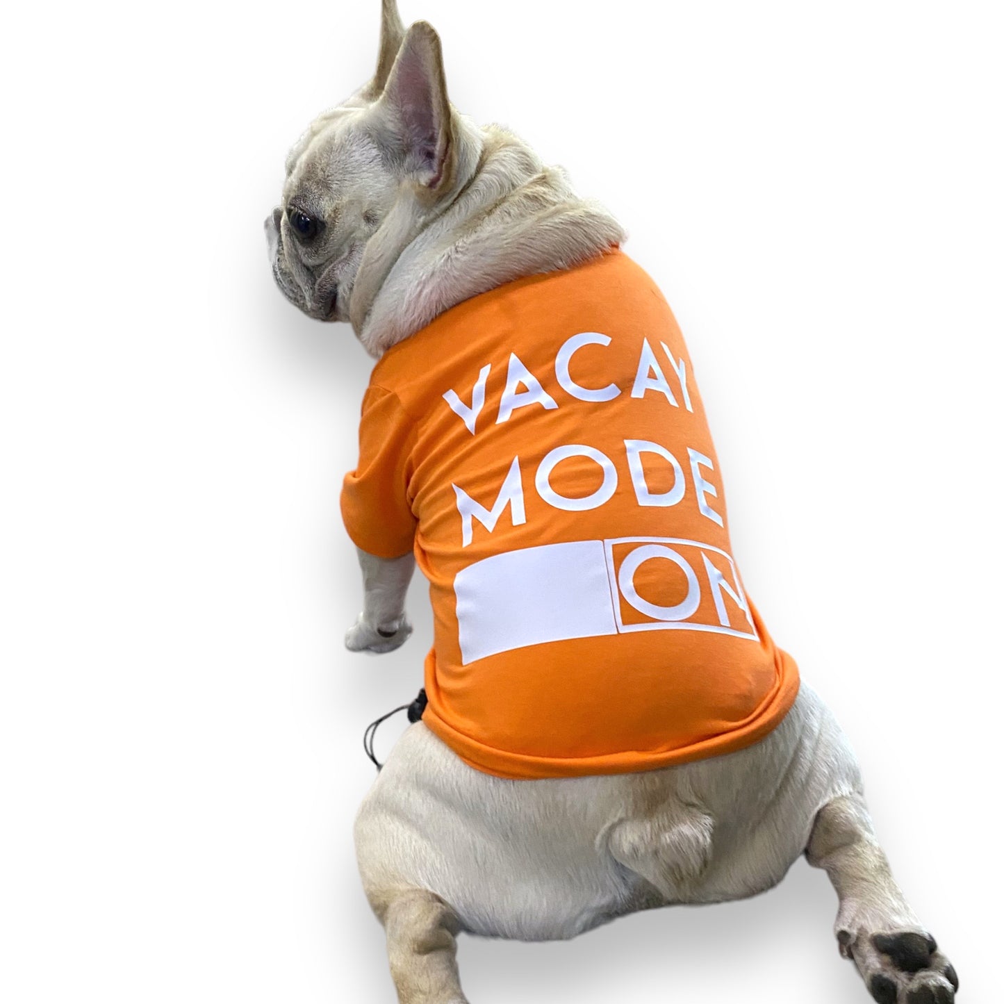 Vacay Mode On Dog Tee