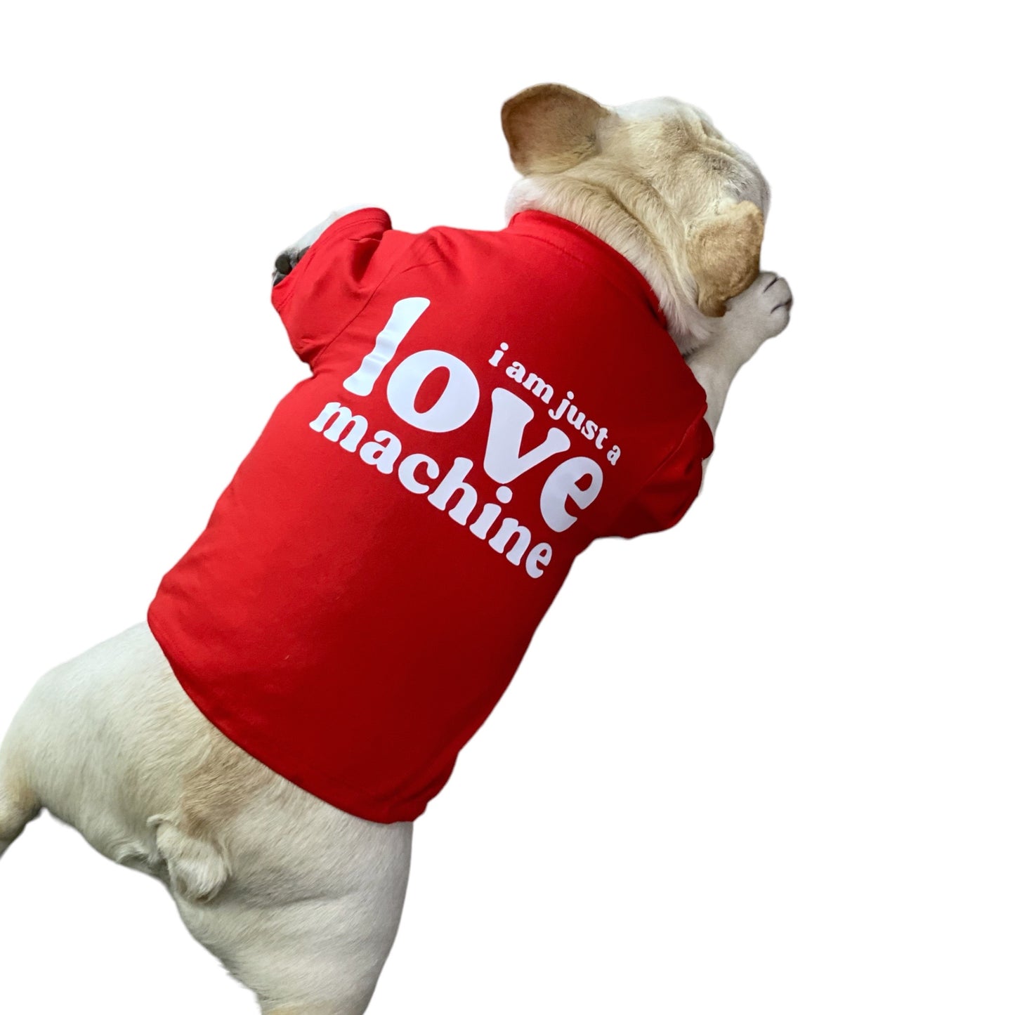 Love Machine Dog Tee