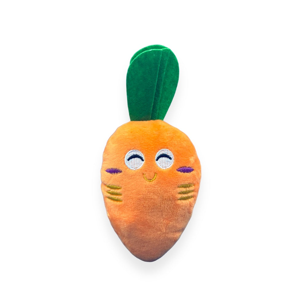 Cushy Carrot Toy