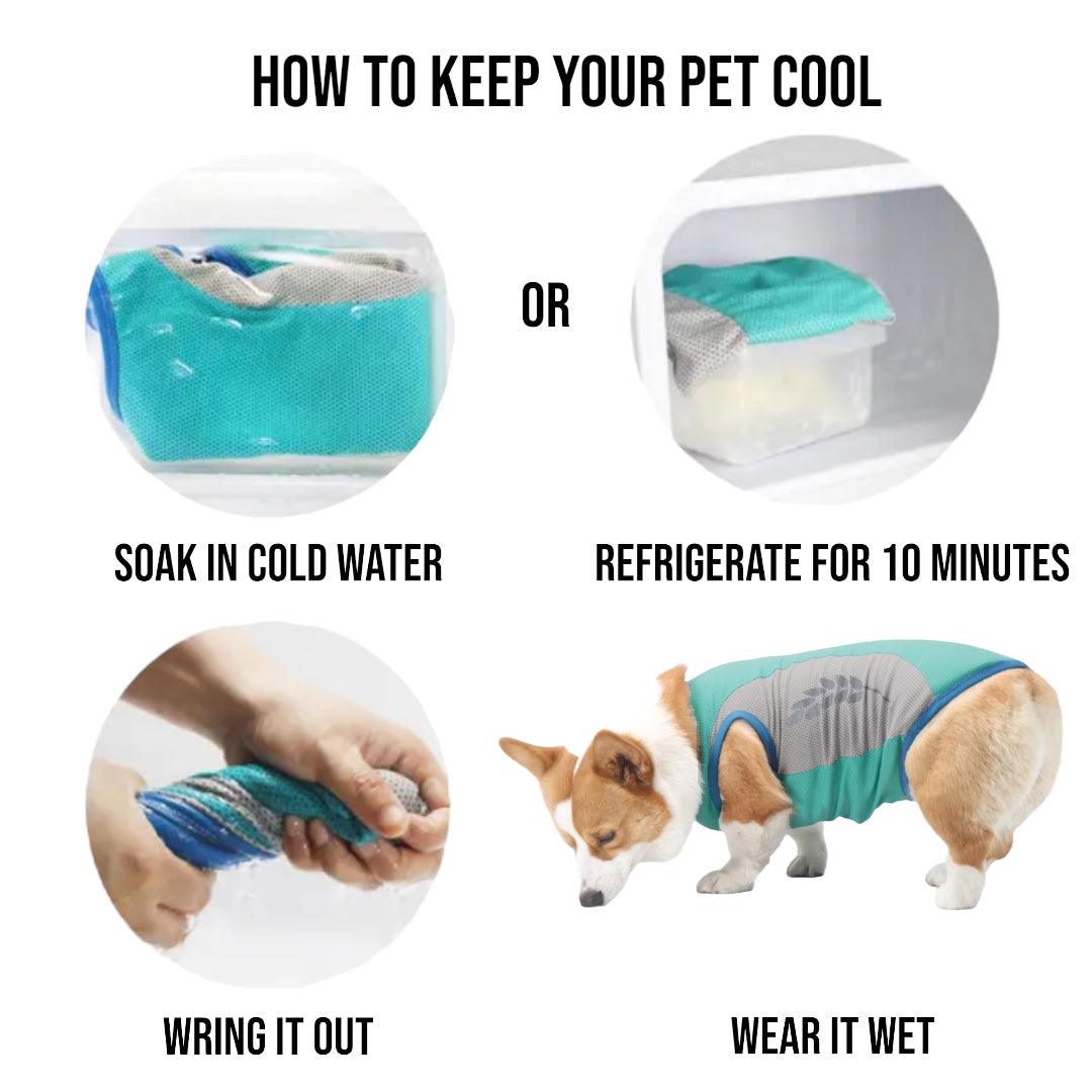 Coolios – Cooling Vests for Dogs - Blue