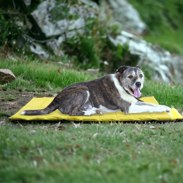 Roll Up - Travel Bed for Dogs - Neon Green