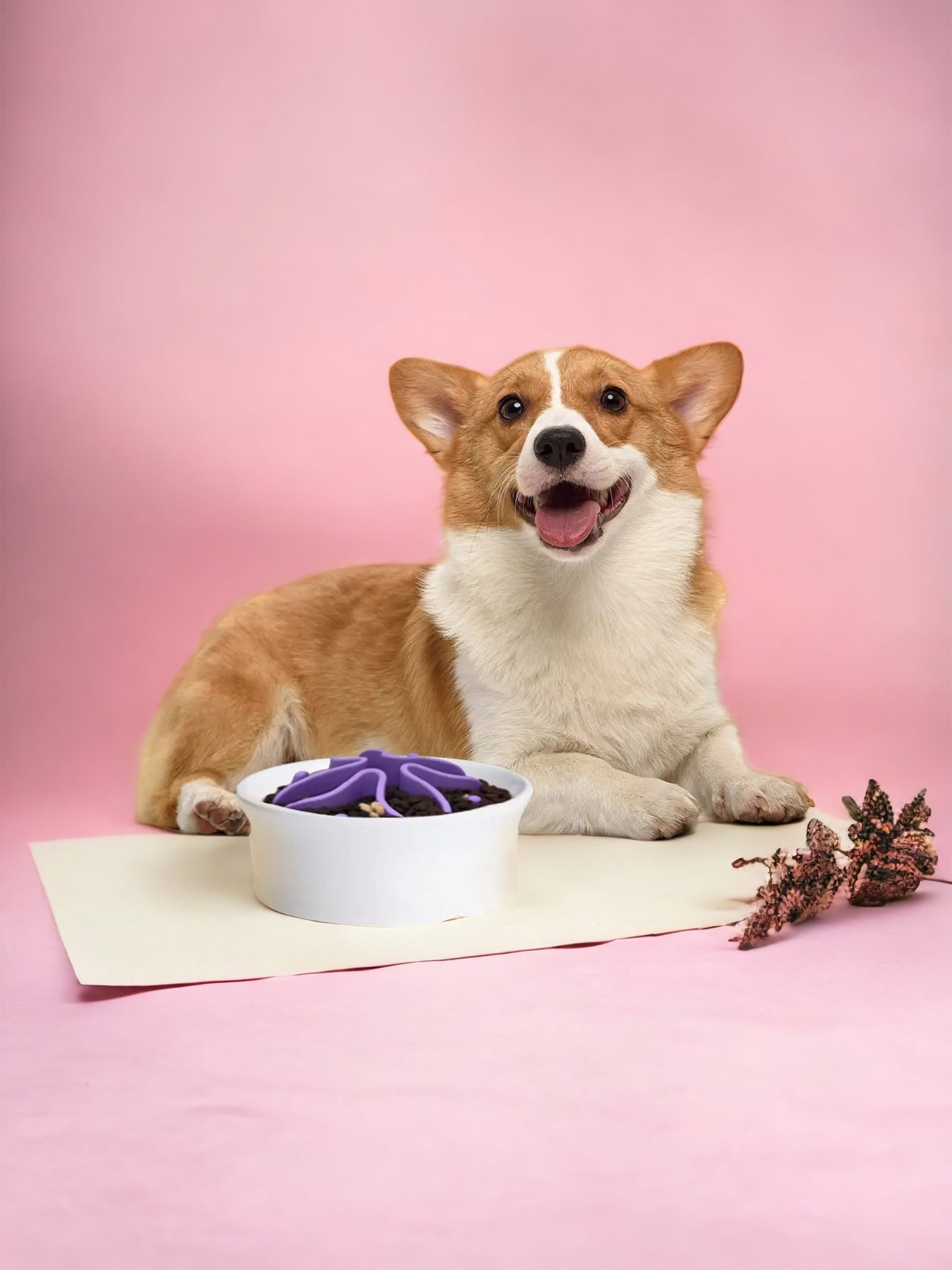 Slow Feeder Bowl Attachment - Purple