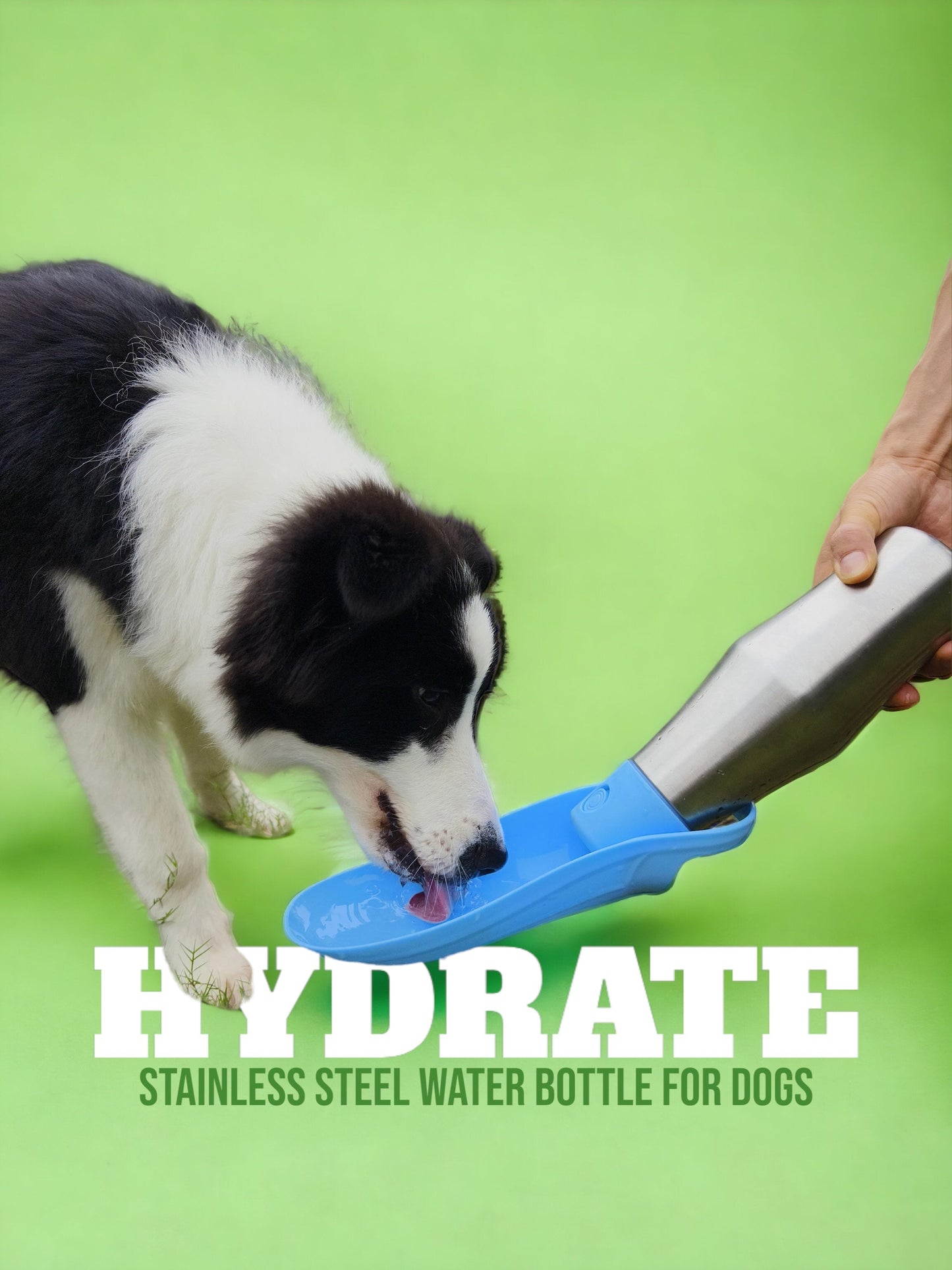 Stainless Steel Travel Water Bottle for Dogs - Blue