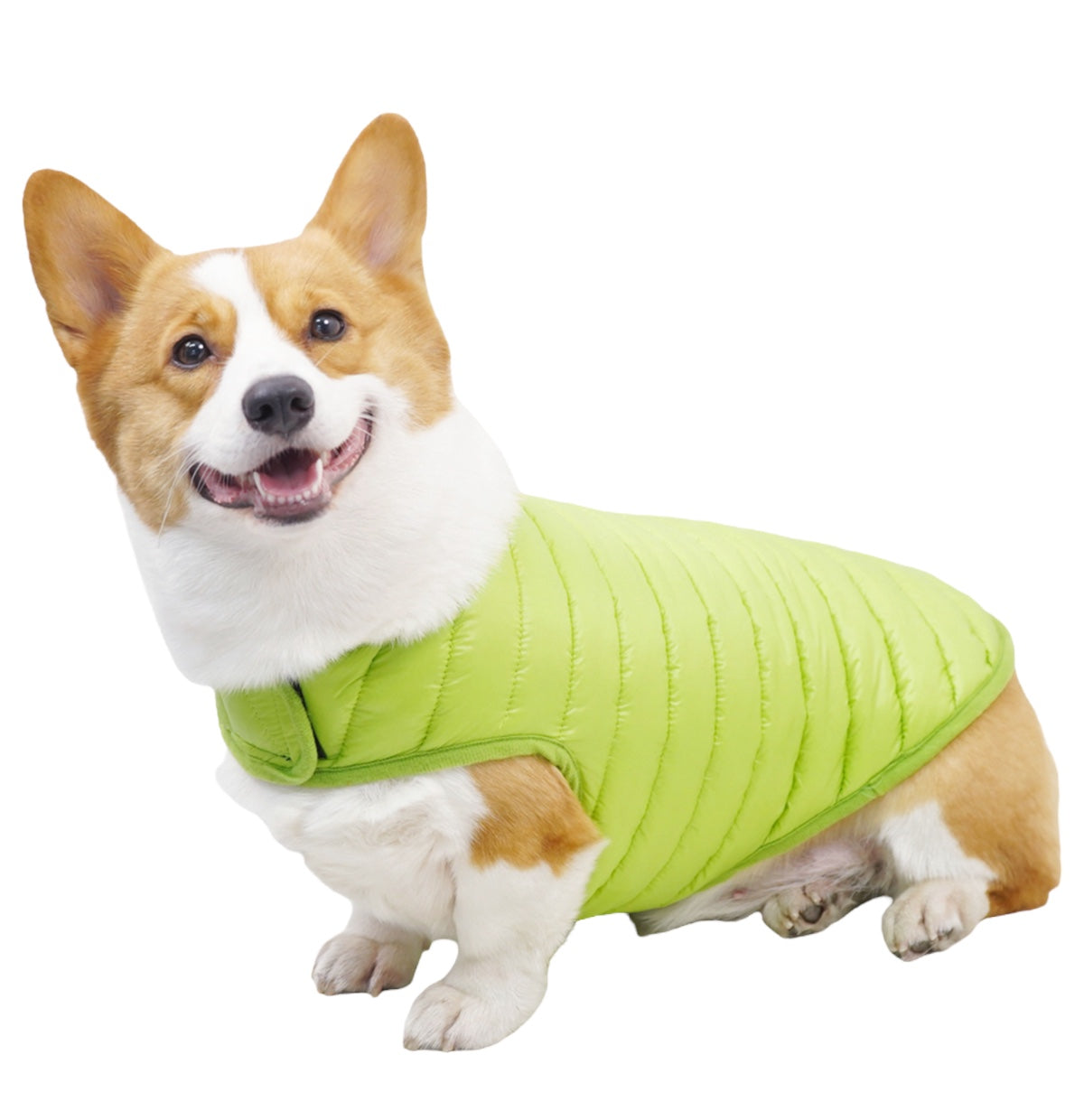 Double Trouble Reversibles - Green/ Blue Jacket - For Large Dogs