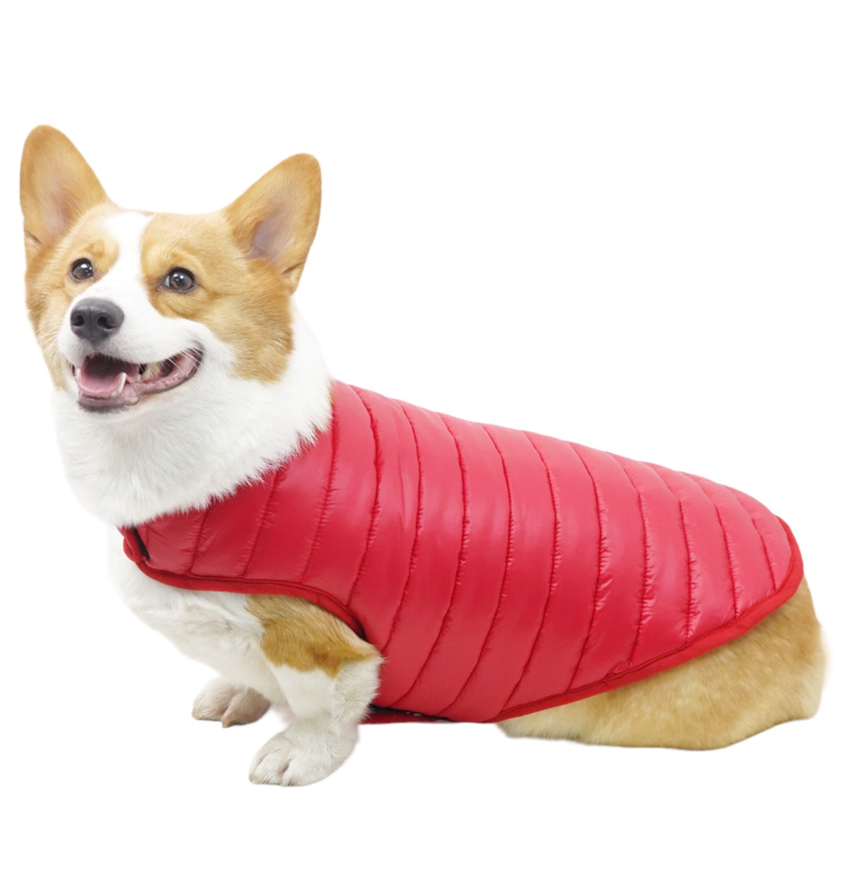 Double Trouble Reversibles - Silver/ Red Jacket - For Large dogs