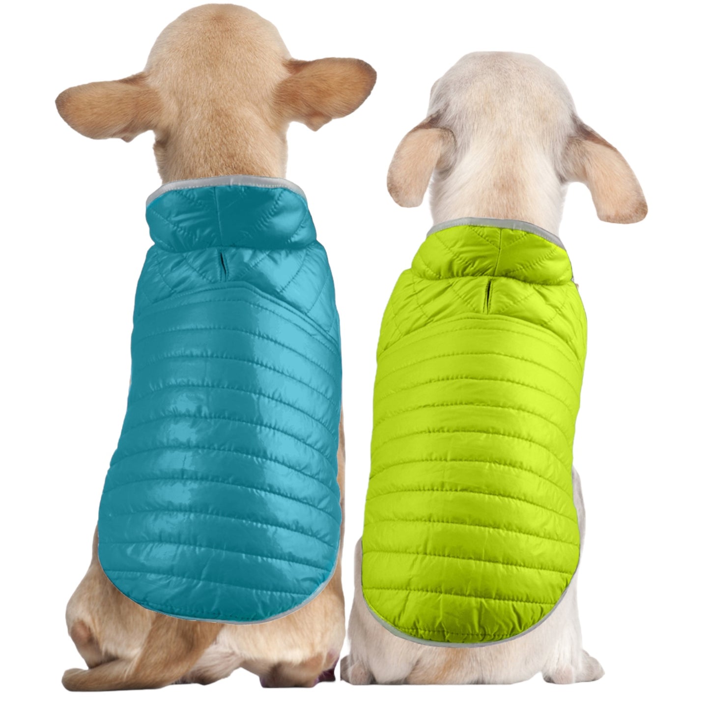 Double Trouble Reversibles - Green/ Blue Jacket - For Large Dogs