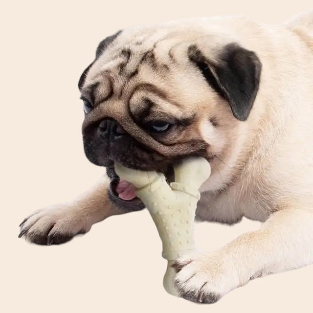 Y-Shape Nylon Bone - Heavy Chew