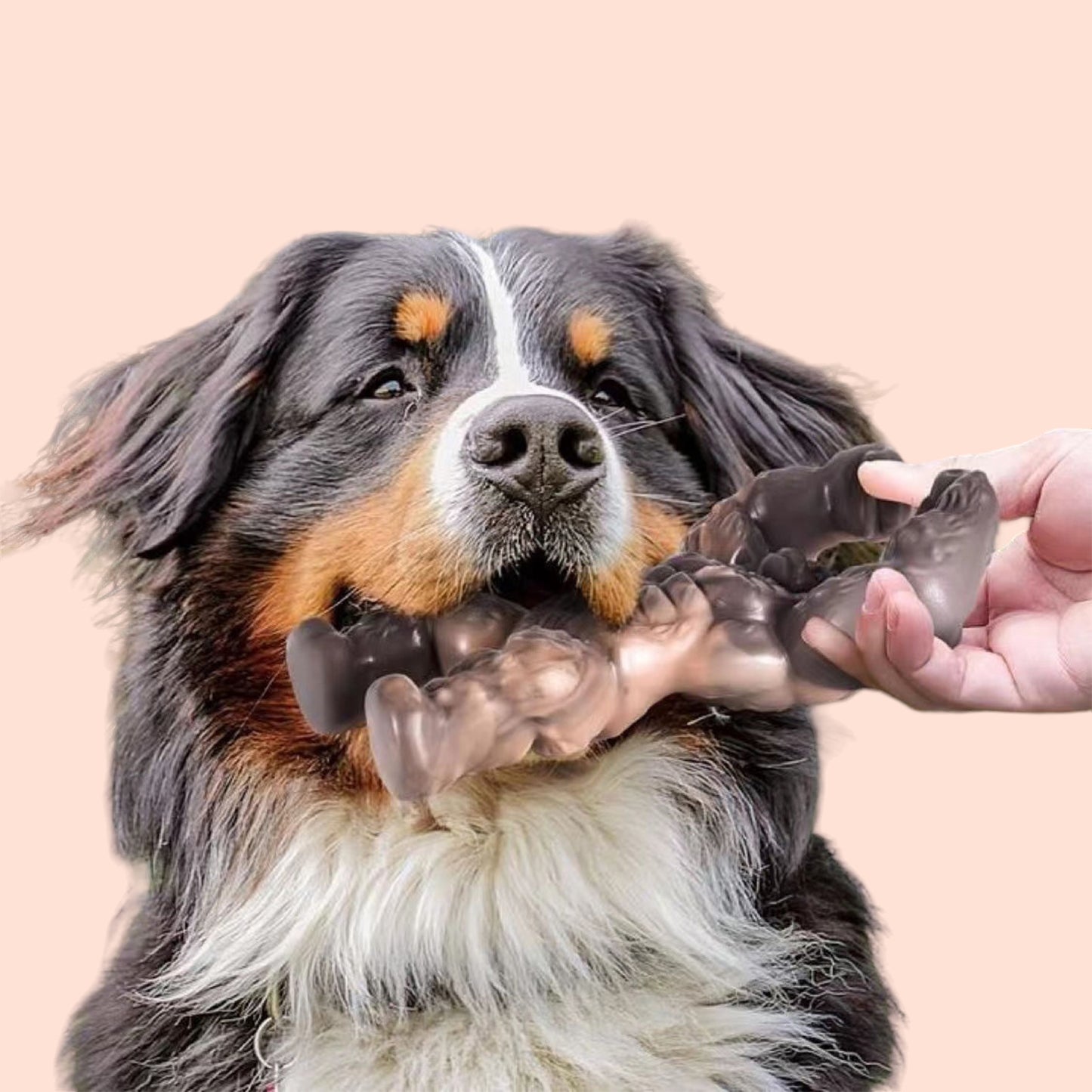Gorilla Nylon Bone - Heavy Chew