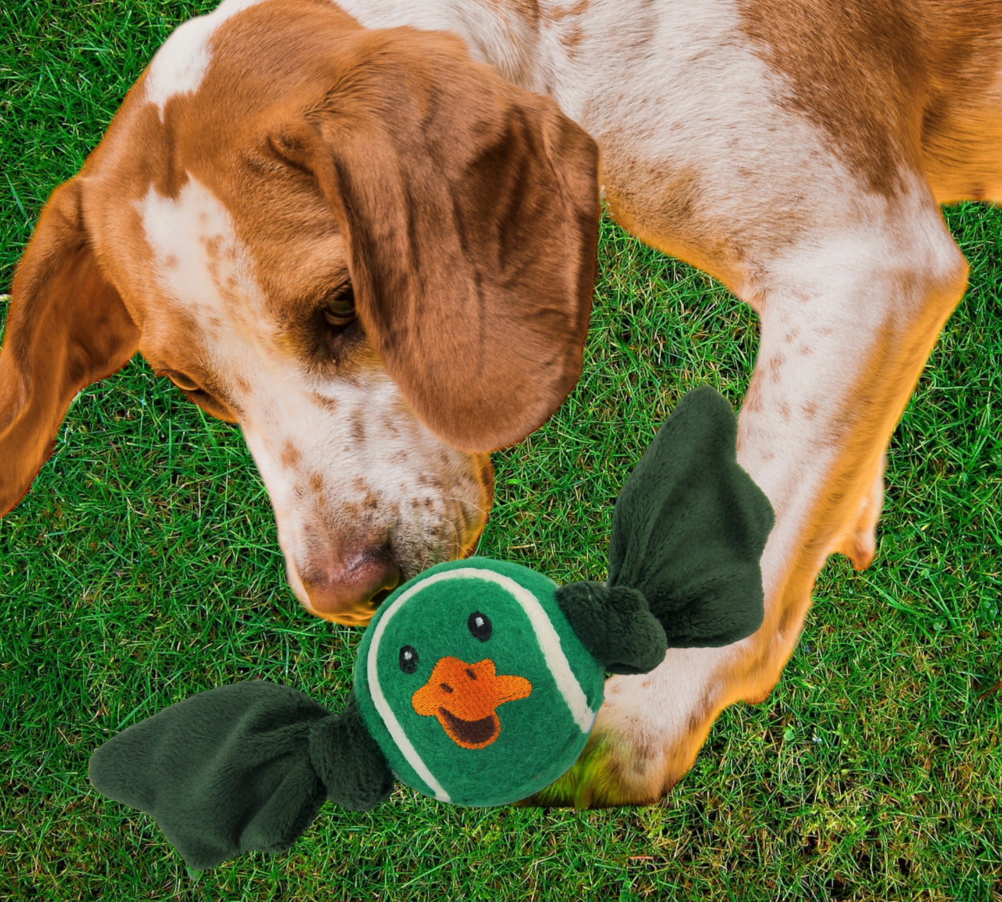 Duck Ball with Wings