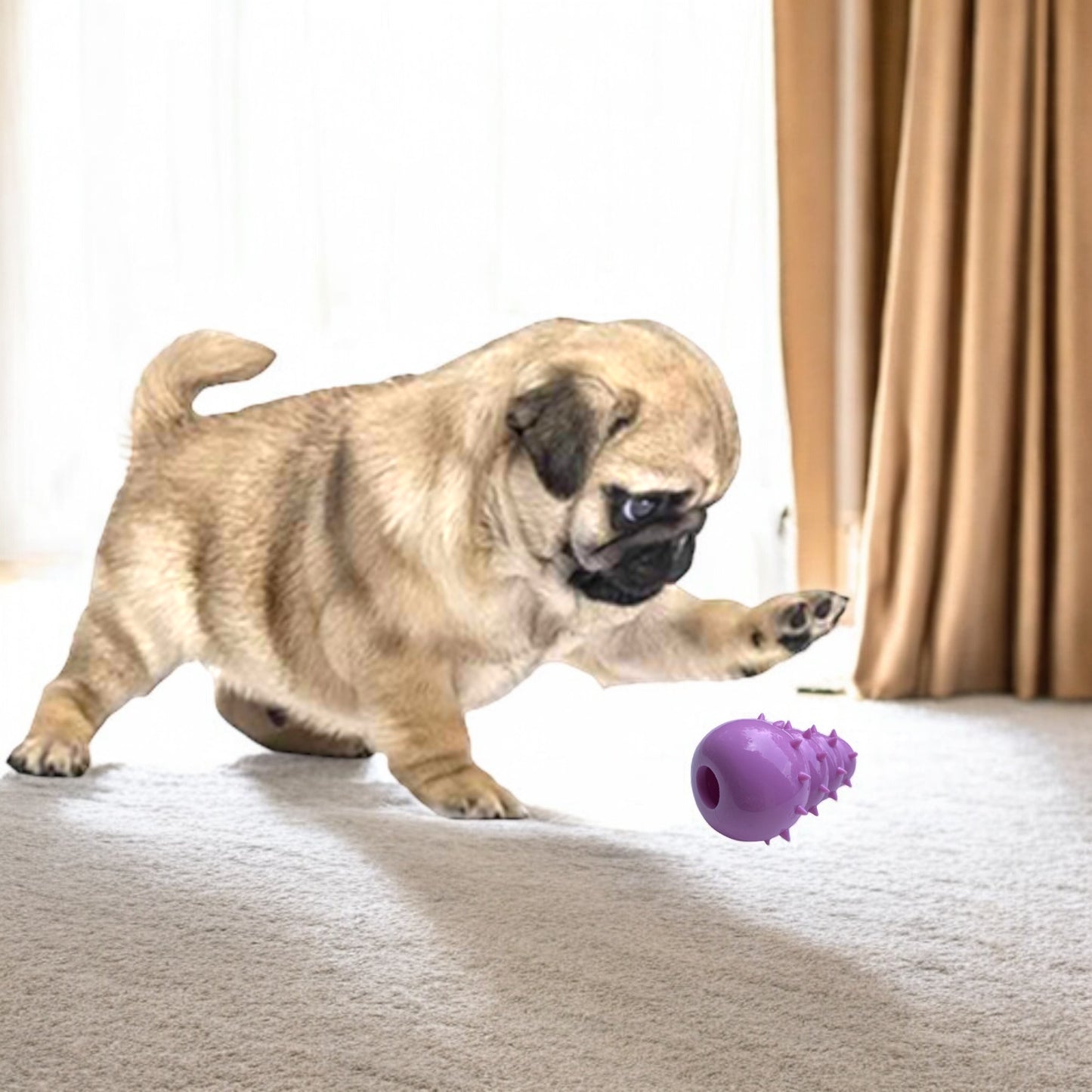 First Puppy Toy Set - 3 pcs