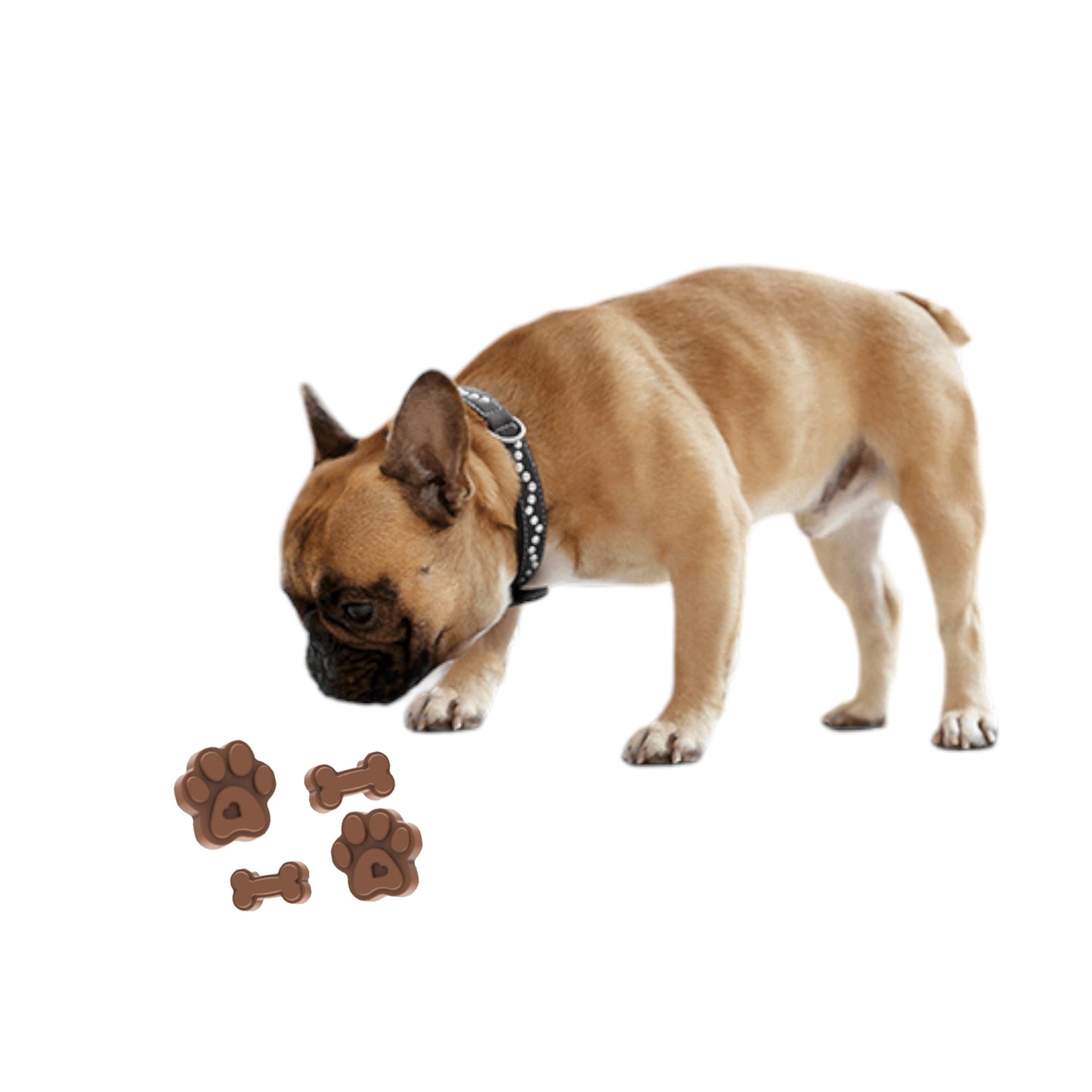 Dog Treat - Silicon Mould