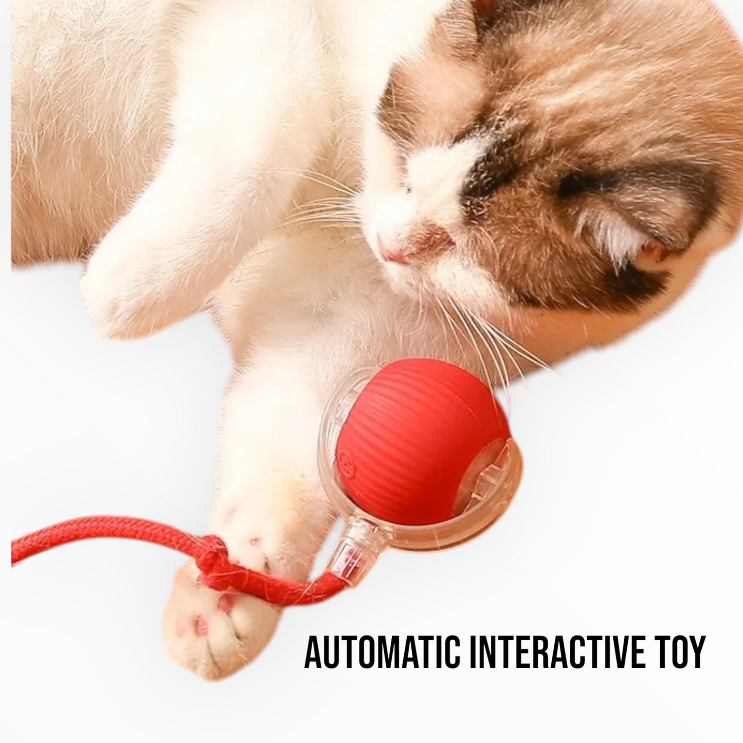 Talking Dog Club -Automatic Rotating Interactive Cat Ball with LED for Cats, Kittens and Puppies