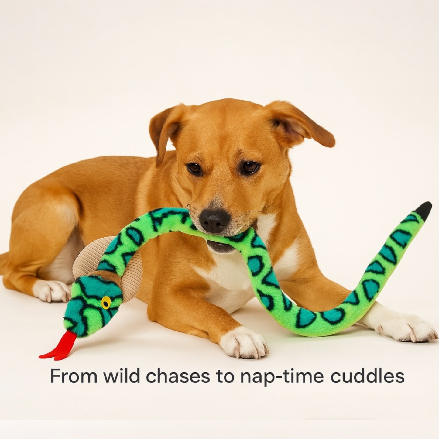 XL Cobra Rattle Plush toy for Dogs