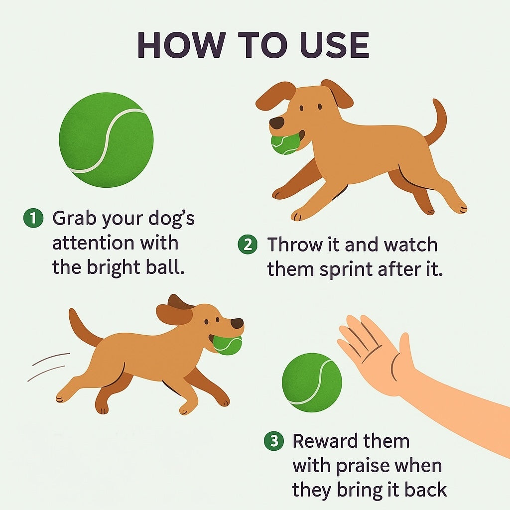 Fetch In Color - Tennis Balls - Green - Set of Two