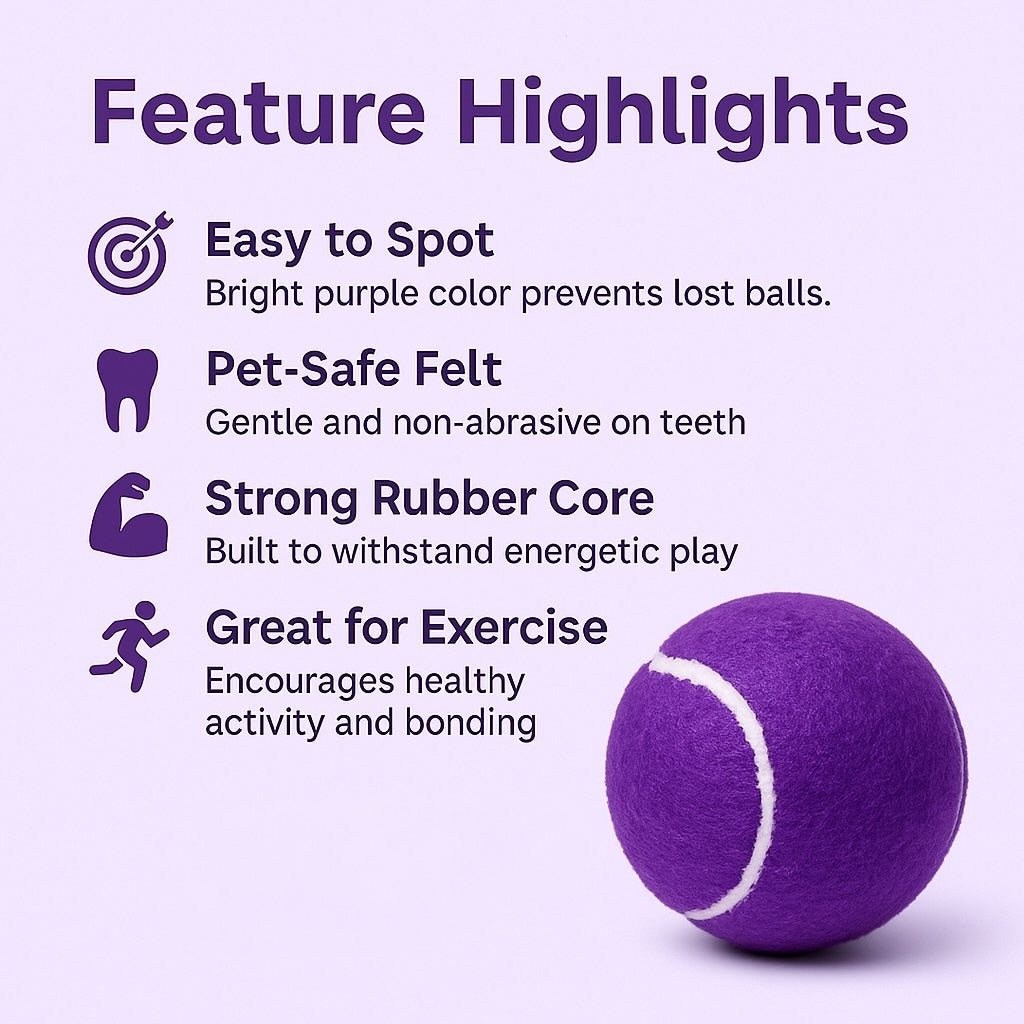 Fetch In Color - Tennis Balls - Purple - Set of Two