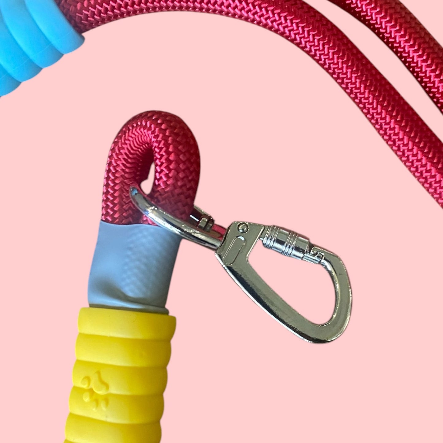 Vivid - Bright Color Extra Strong Leash - Red Leash/ Blue Handle