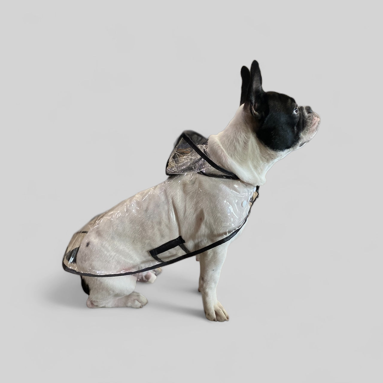 Raincoat - Black